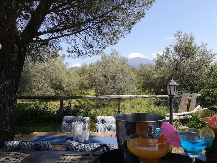 Villa Segreta, Mount Etna Belpasso Zewnętrze zdjęcie