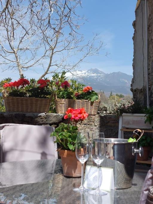 Villa Segreta, Mount Etna Belpasso Zewnętrze zdjęcie
